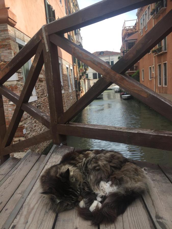 Tintoretto 4, 3 Grandi Camere Da Letto, 2 Bagni Venesia Bagian luar foto